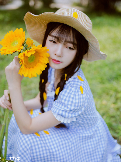 紅花逍遙片多少錢一盒？紅花逍遙片物廉價美