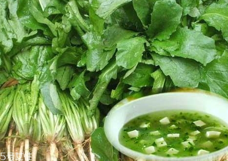 薺菜包餃子需要焯水嗎？小心有苦澀的味道