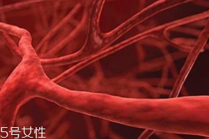 血管塞有什么征兆？這4個現(xiàn)象要警惕