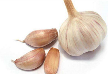 吃大蒜對(duì)腎有好處嗎？大蒜泡酒可補(bǔ)腎