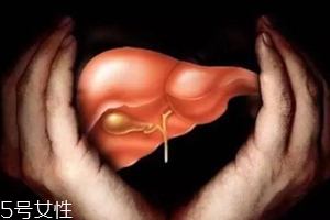 乙肝反復的原因是什么？這5點要注意