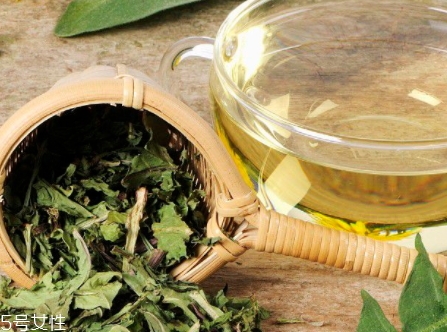 蒲公英茶能減肥嗎？要這樣搭配