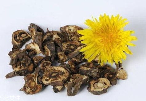 蒲公英泡水會(huì)回奶嗎？你應(yīng)該選擇這些食物