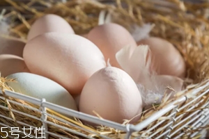 土雞蛋才是更好的蛋嗎？價高不一定好