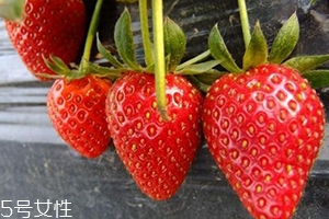 寶寶咳嗽可以吃草莓嗎？看是什么類(lèi)型的咳嗽