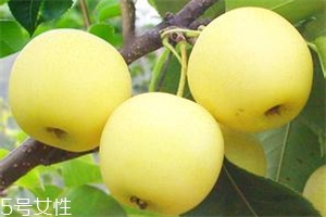 哺乳期吃梨有什么好處？梨子能做面膜
