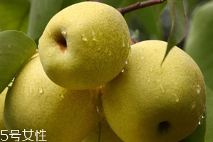 晚上吃梨子會胖嗎？梨不能和開水一起吃