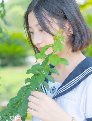 舒爾佳會(huì)反彈嗎？減肥不反彈的好方法