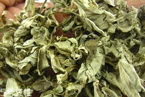 艾葉水可以洗外陰嗎？可以起到殺菌的作用