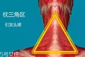 人體黃金三角區(qū)有哪些？養(yǎng)好了百病不擾