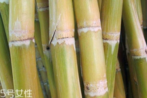 甘蔗吃多了對(duì)牙齒好嗎？有可能損傷牙齒