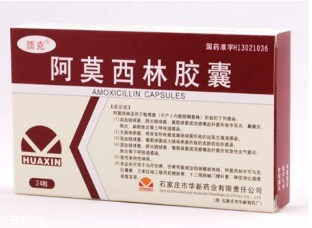 阿莫西林會(huì)影響月經(jīng)嗎？阿莫西林跟月經(jīng)無關(guān)聯(lián)