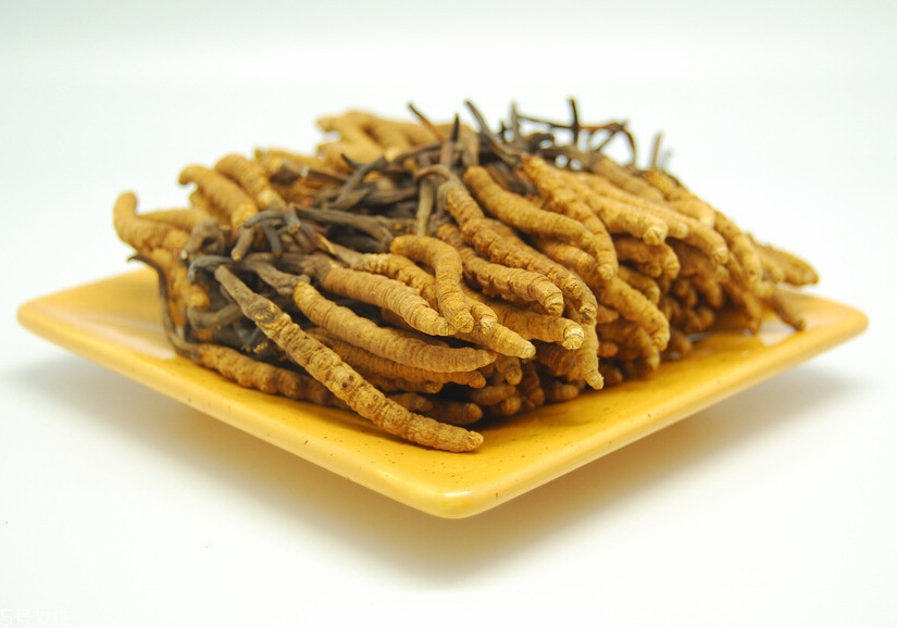吃冬蟲夏草的好處有哪些？四大好處任你選