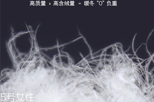 lets diet羽絨褲多少錢？lets diet羽絨褲保暖又修身