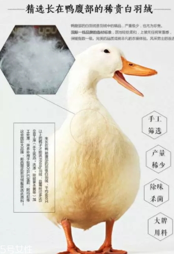 lets diet羽絨褲多少錢？lets diet羽絨褲保暖又修身