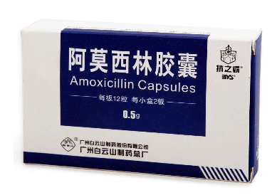 阿莫西林可以和牛奶一起吃嗎？牛奶和阿莫西林不沖突