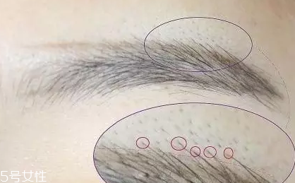 自然不做作的毛流眉怎么畫？紋理清晰有弧度