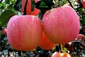 空腹吃蘋果好不好？一天最多吃幾個蘋果？