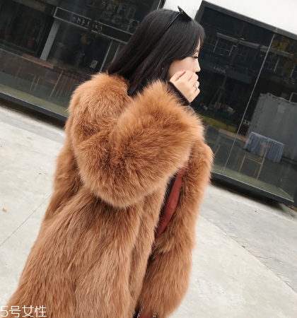 皮草和貂哪個(gè)貴？它們的價(jià)值你清楚嗎