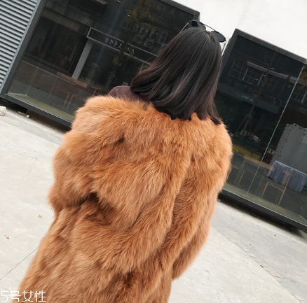 皮草和貂哪個(gè)貴？它們的價(jià)值你清楚嗎