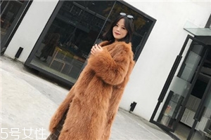 皮草和貂哪個(gè)貴？它們的價(jià)值你清楚嗎