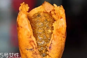 牛卵坨籽可以吃嗎？看看它的神奇功效