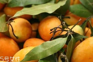 枇杷芒多少錢一斤？品質(zhì)越好價格越貴