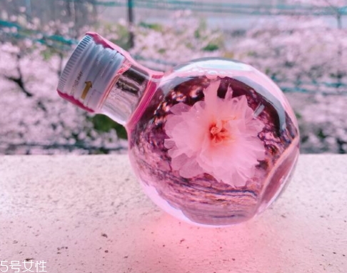 奈良金箔櫻花酒多少錢？奈良櫻花酒好喝嗎
