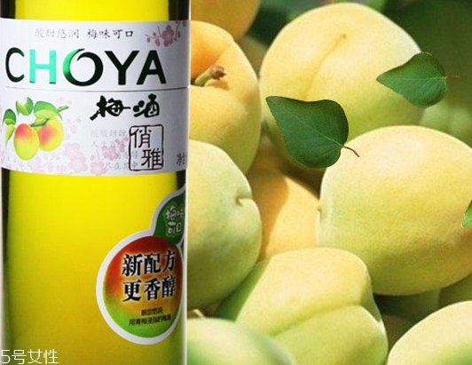choya梅酒多少錢？多少度？