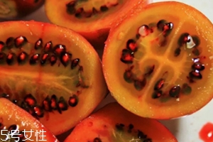 樹(shù)番茄多少錢一斤？