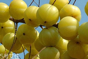 余甘子怎么吃？腌制風(fēng)味最佳