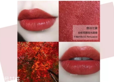雅詩蘭黛口紅哪個色號最火？哪些最適合黃皮？