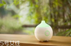 香薰什么味道好聞？佛系女孩推薦草木香