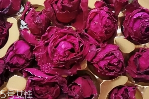 墨紅玫瑰可以天天喝嗎？玫瑰養(yǎng)顏也要適量
