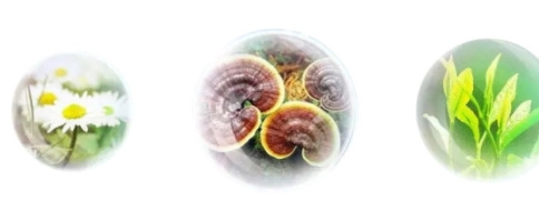 香蒲麗防曬霜怎么樣？從防曬值和成分說開去
