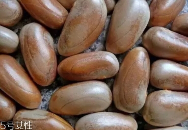 榴蓮蜜怎么吃？不同的吃法風(fēng)格