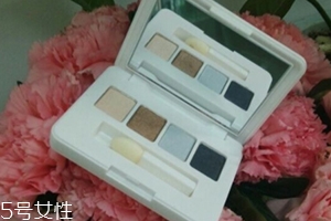 雅詩蘭黛眼影盤怎么用？