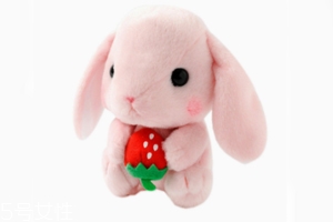 AMUSE玩偶是哪個(gè)國(guó)家的牌子？東京御宅族文化商品