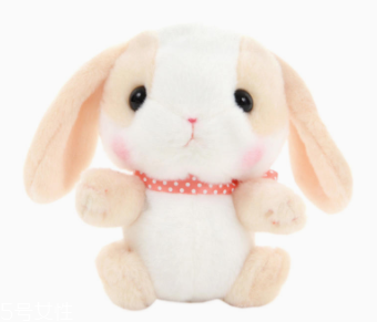 AMUSE玩偶是哪個(gè)國(guó)家的牌子？東京御宅族文化商品