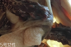 板鴨怎么做好吃？這樣做香氣撲鼻