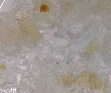 雪燕和桃膠能一起燉嗎？
