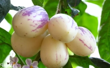 香瓜茄孕婦可以吃嗎？香瓜茄功效多