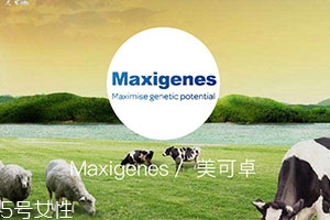 藍(lán)胖子奶粉適合什么人？成人可以喝嗎？