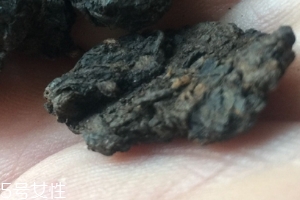 老茶頭怎么泡？泡錯了就不好喝了