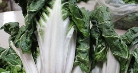 牛皮菜是發(fā)物嗎？牛皮菜有毒嗎