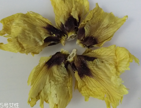 秋葵花怎樣曬干？自然風(fēng)干最佳