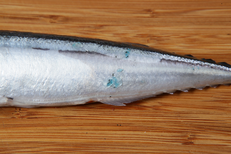 秋刀魚怎么處理？秋刀魚怎么挑選