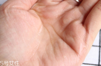 悅木之源和伊麗莎白雅頓哪個好？兩款精華大比拼