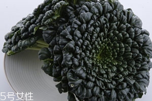 塔菜多少錢一斤？塔菜又稱菊花菜