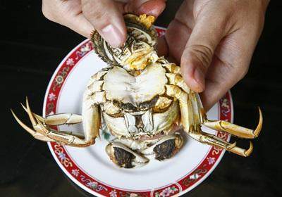 陽澄湖大閘蟹怎么吃？食陽澄湖大閘蟹注意事項(xiàng)
